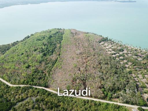 51,368 SQ.M Land In Coconut Island For Sale