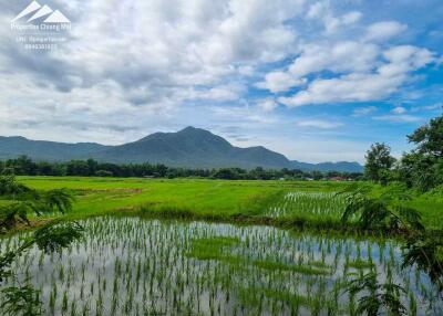 ที่ดินวิวภูเขาพร้อมการพัฒนา