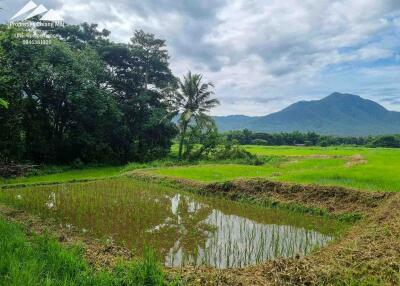 ที่ดินวิวภูเขาพร้อมการพัฒนา