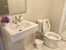 Modern compact bathroom with sink and toilet