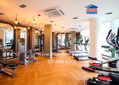 Spacious modern gym in residential building with various exercise equipment