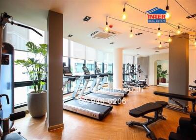 Modern gym in residential building with state-of-the-art fitness equipment