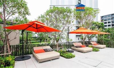 Modern outdoor lounge area with comfortable seating and vibrant orange umbrellas