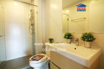 Modern bathroom interior with white fixtures and decorative plants