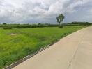 Expansive outdoor view of a potential property site with green fields and a concrete pathway