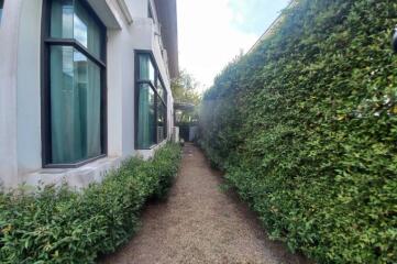 Narrow pathway alongside a modern residential building with lush greenery