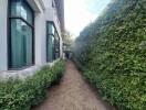 Narrow pathway alongside a modern residential building with lush greenery