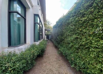 Narrow pathway alongside a modern residential building with lush greenery