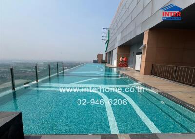 Luxurious rooftop swimming pool with panoramic city views