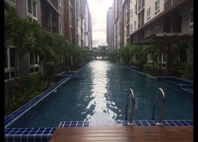 Long outdoor swimming pool between residential buildings