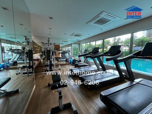 Modern gym with treadmills overlooking a pool