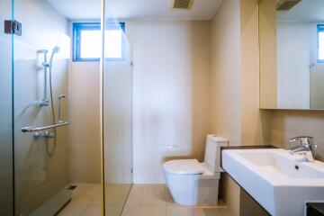 Modern bathroom with walk-in shower, toilet and sink