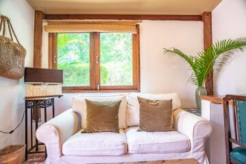 Cozy living room with natural light and lush greenery view