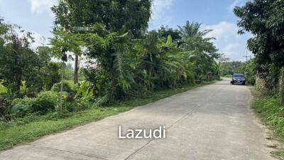 4 Rai Land for Sale