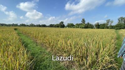 4 Rai Land for Sale