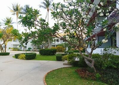 lush garden path leading to a well-maintained residential building