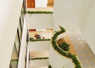 Top view of a modern building interior with decorative green plants