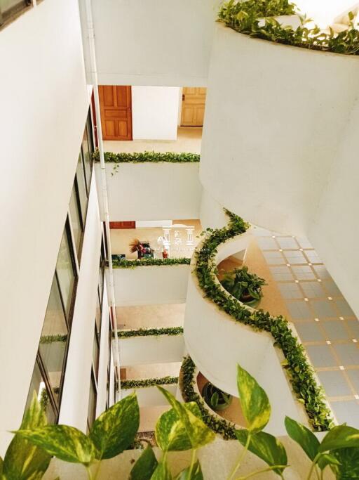 Top view of a modern building interior with decorative green plants