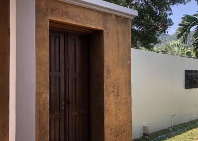 Elegant exterior view of a house showing a stylish wooden door and stucco walls