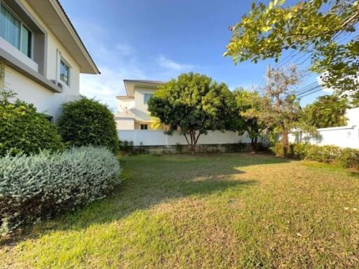 Spacious backyard with lush greenery and well-maintained lawn