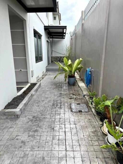 Pavement area along the side of modern house