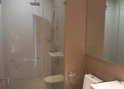 Modern bathroom interior with shower and toilet