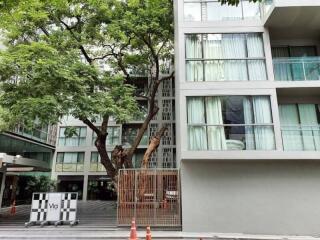 Modern apartment building facade with balconies and large tree in front