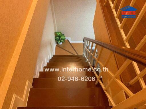 Interior view of a residential staircase with wooden steps and cozy decor