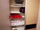 Organized storage closet with shelves