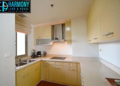 Compact modern kitchen with ample cabinets and essential appliances