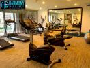 Well-equipped gym inside residential building with multiple exercise machines and mirrors