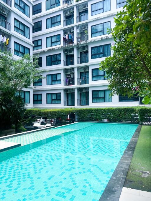 Modern residential building with a large swimming pool surrounded by lush greenery