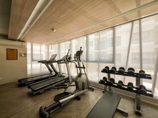 Modern residential gym with treadmills and weights