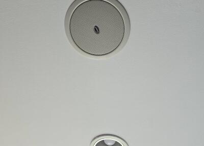Ceiling with smoke detector and recessed lighting