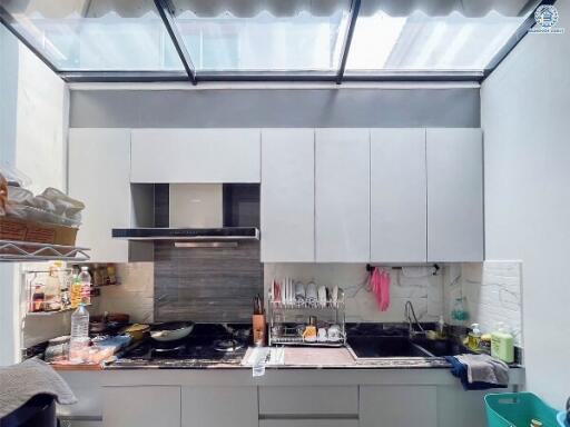 Modern kitchen with integrated appliances and glass roof