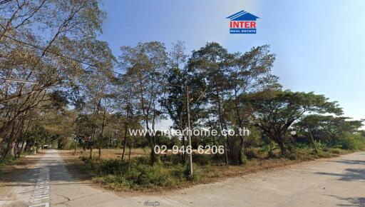 Expansive outdoor area with trees and a clear path, suitable for real estate development