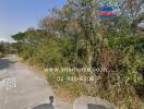 Paved road with lush greenery on either side near property