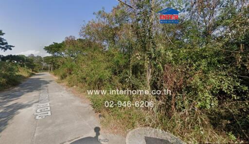 Paved road with lush greenery on either side near property