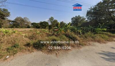 empty land near road with natural surroundings