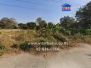 empty land near road with natural surroundings