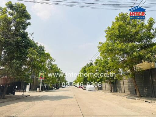 Peaceful street view in a residential area with visible real estate signage and lush green trees