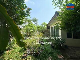 Lush garden with a residential building and tropical plants