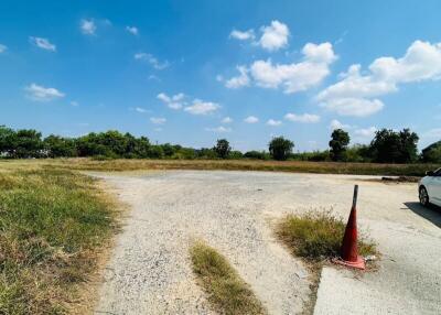 Vast open land under a clear blue sky with a dirt road and a traffic cone