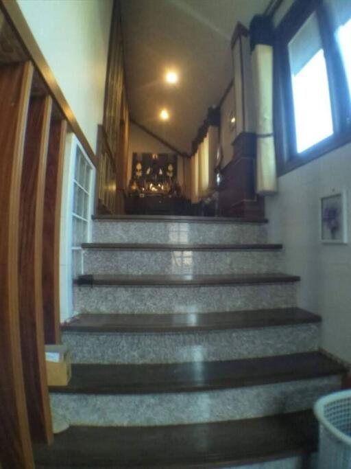 Elegant residential staircase with wooden finishes and decorative elements