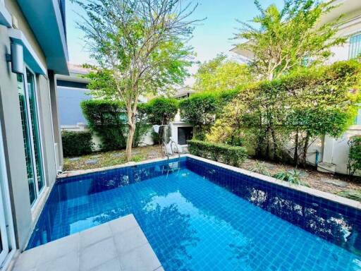 Outdoor swimming pool at residential property surrounded by lush greenery