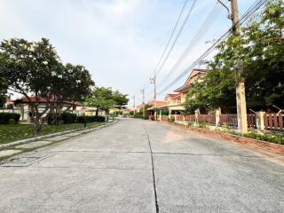 Paved street in residential neighborhood with green trees and detached houses