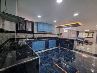 Modern spacious kitchen with blue cabinetry and black countertops