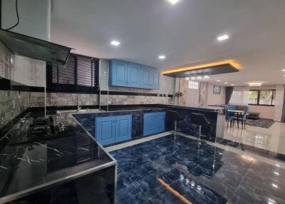 Modern spacious kitchen with blue cabinetry and black countertops