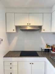 Clean and modern kitchen design with ample cabinet storage