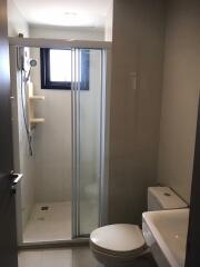 Compact modern bathroom with shower enclosure and toilet
